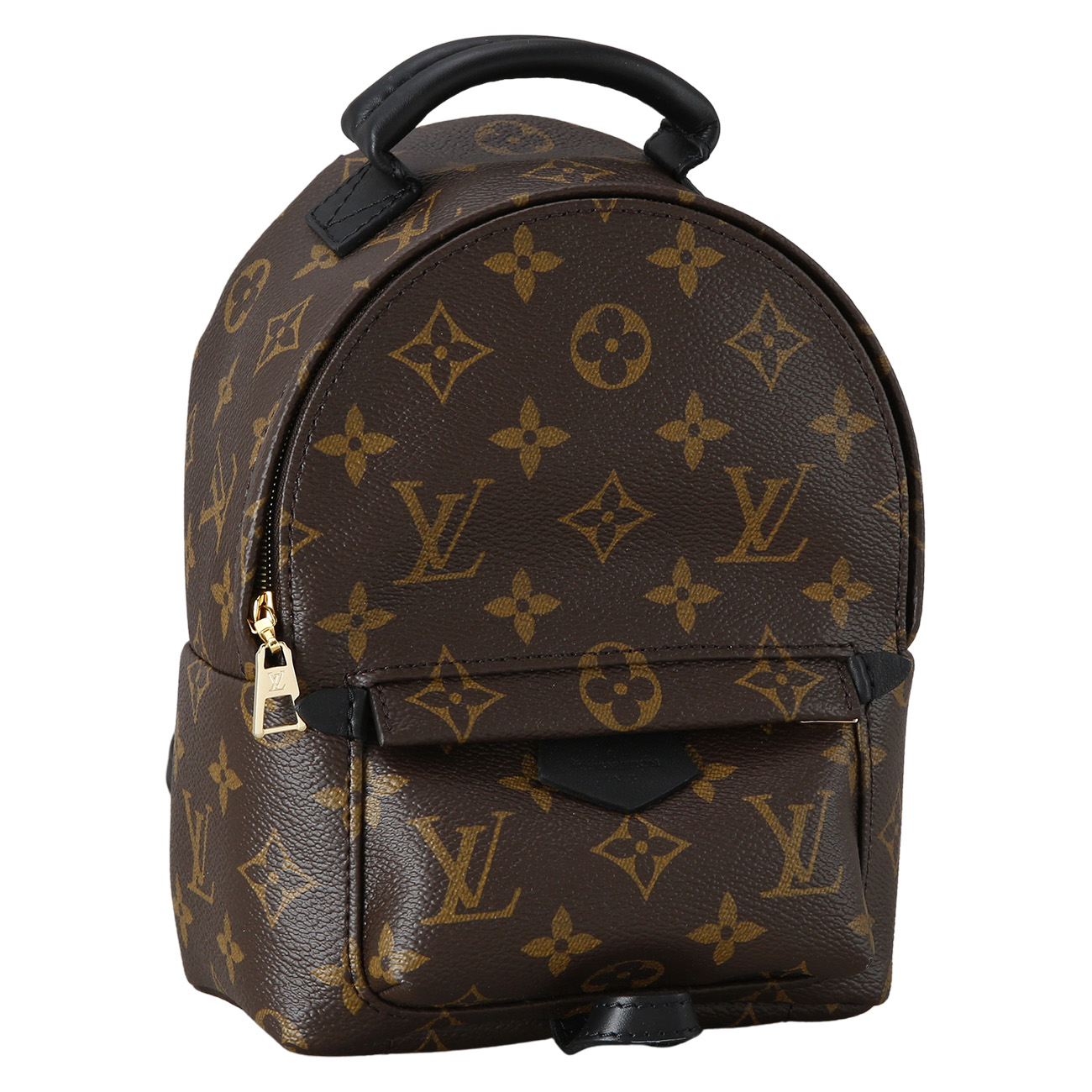 LOUIS VUITTON(USED)루이비통 팜스프링 미니 백팩